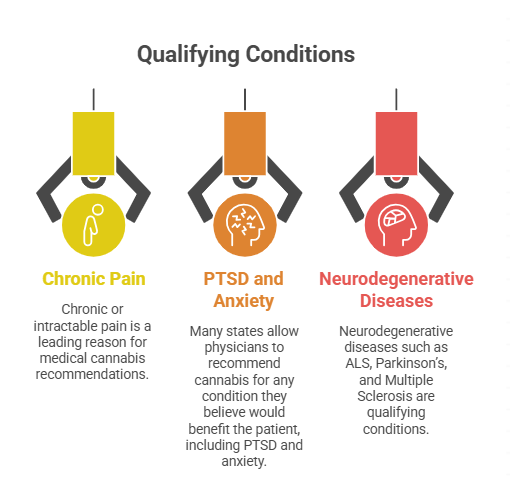 Qualifying Conditions and Physician Recommendations